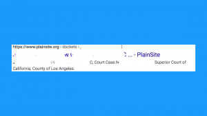 Plainsite Search Result