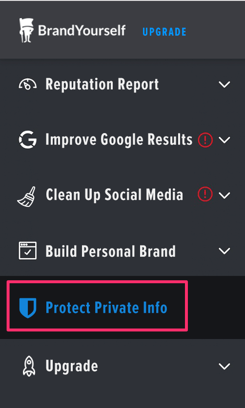 Instant checkmate private info section